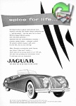 Jaguar 1955 399.jpg